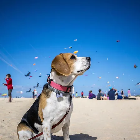 Ferienwohnung Meer Schillig