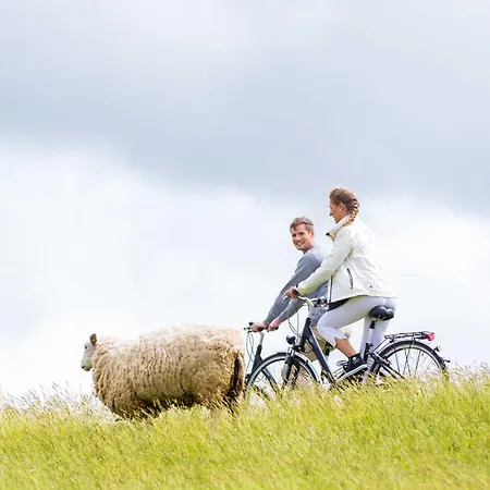 Apartament Ferienwohnung Meer Schillig