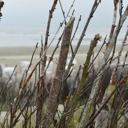 Ferienwohnung Meer Apartament