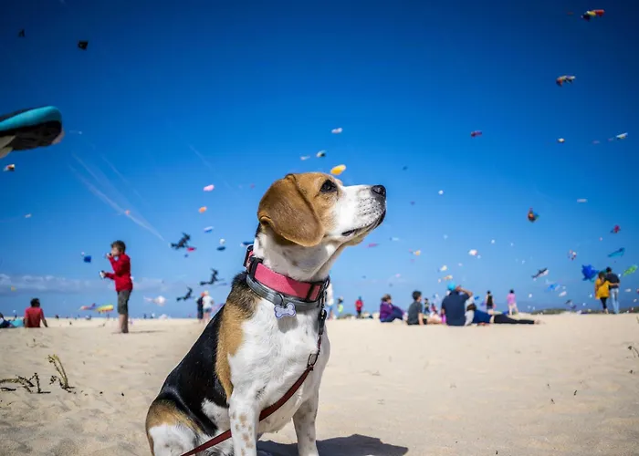 Ferienwohnung Meer Schillig