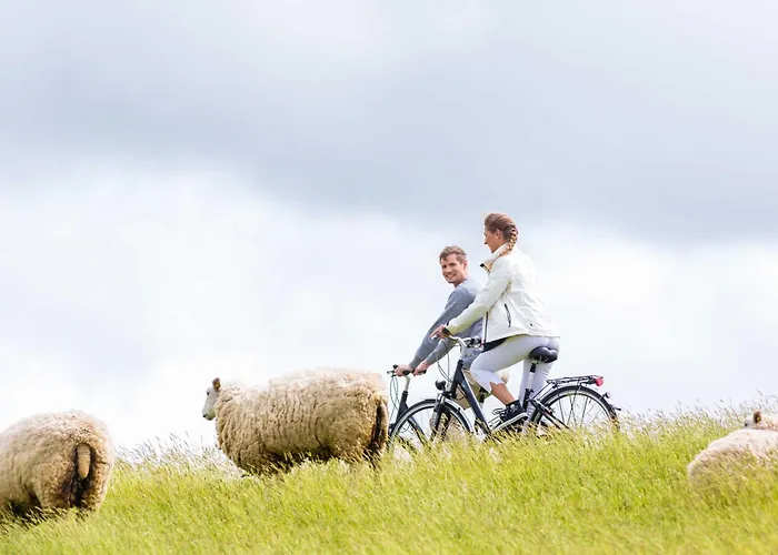 Daire Ferienwohnung Meer Schillig