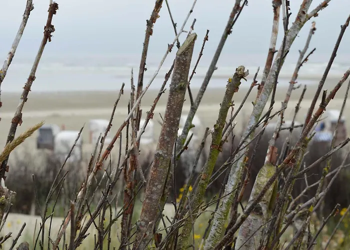 Ferienwohnung Meer Daire